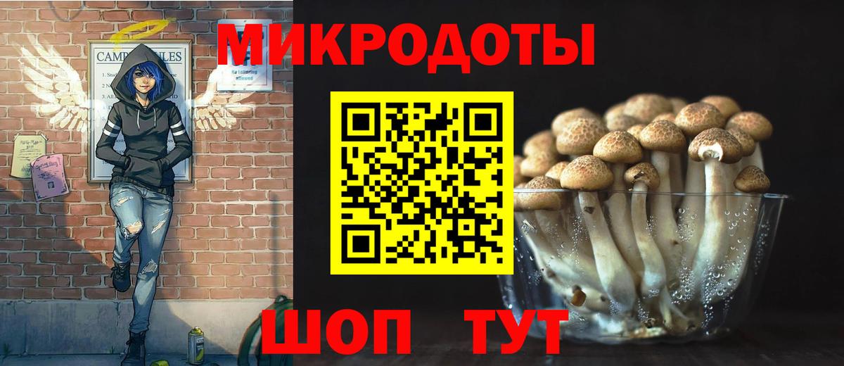 Галлюциногенные грибы GOLDEN TEACHER Ивантеевка
