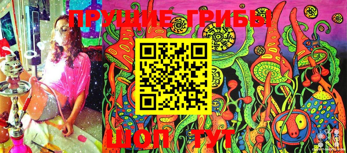 Галлюциногенные грибы Cubensis  Вход с VPN  Ивантеевка 